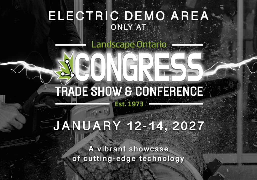 electric demo ad for web 2027